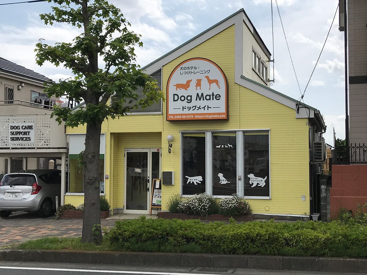 Dog Mate ドッグメイト